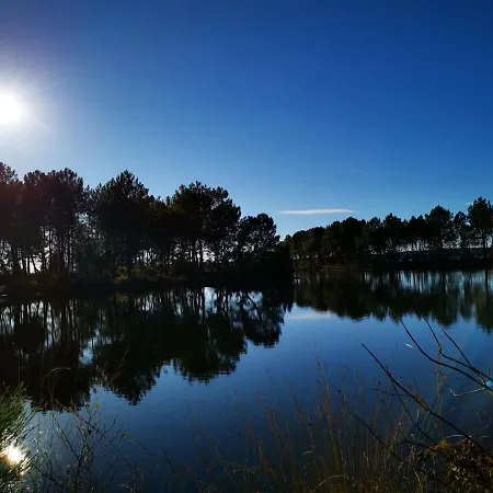 O Lac-3